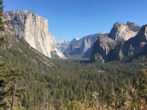 Camping W Yosemite, California